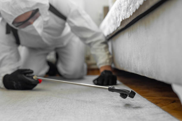 Professional Bed Bug Control technician working in Clarkston, WA