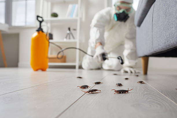 Trusted Termite Control service in Clarkston, WA - Nex Pest Control